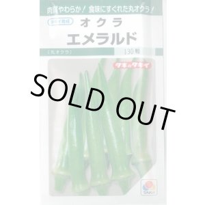 画像: 送料無料　[オクラ]　エメラルド　115粒　タキイ種苗(株)　GF