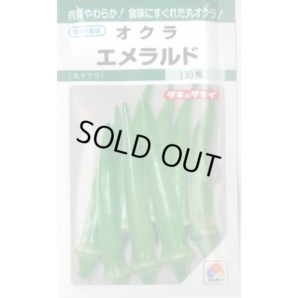画像1: 送料無料　[オクラ]　エメラルド　115粒　タキイ種苗(株)　GF (1)