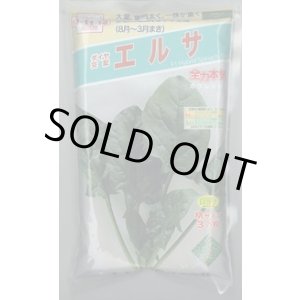 画像: [ほうれんそう]　エルサ　　3万粒（種子サイズ：Ｍ）　トキタ種苗(株)