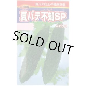画像: 送料無料　[ゴーヤ]　夏バテ不知SP　10粒　渡辺農事