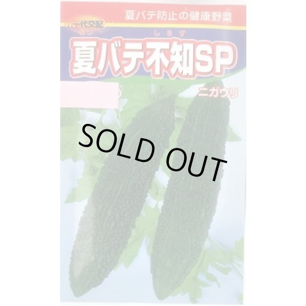 画像1: 送料無料　[ゴーヤ]　夏バテ不知SP　10粒　渡辺農事（株） (1)