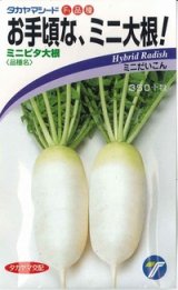 画像: 送料無料　[大根]　ミニミニピタ　4ml　(株)タカヤマシード