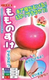 画像: [かぶ] もものすけ 1ml(約200粒) ナント種苗(株)