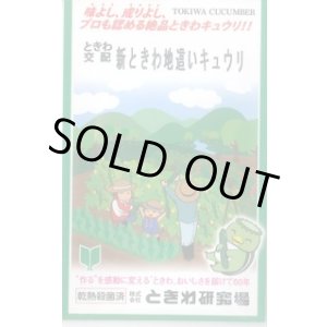 画像: 送料無料　[キュウリ]　新ときわ地這いキュウリ　40粒　(株)ときわ研究場