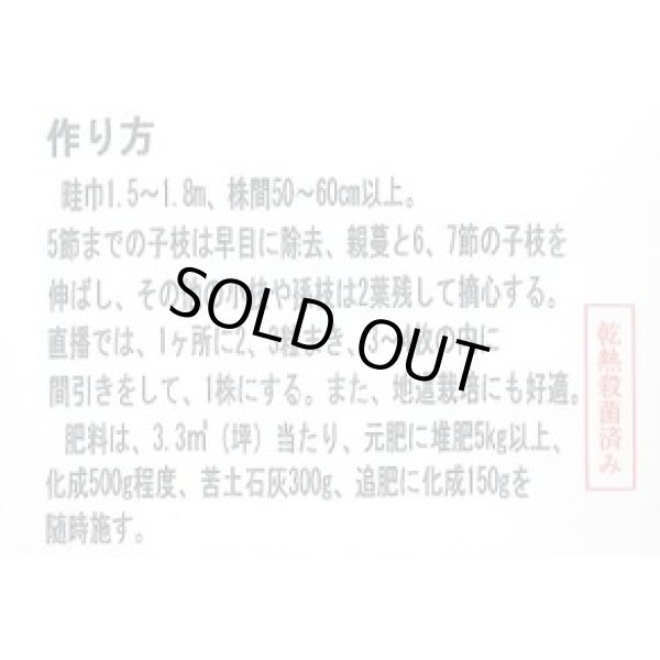 画像2: 送料無料　[キュウリ]　新ときわ地這いキュウリ　40粒　(株)ときわ研究場 (2)