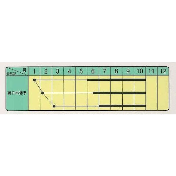 画像2: 送料無料　[なす]　白丸茄子　約60粒　中原採種場(株) (2)