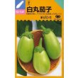 画像1: 送料無料　[なす]　白丸茄子　約60粒　中原採種場(株) (1)
