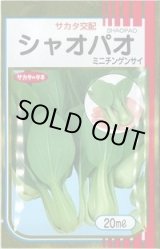 画像: 送料無料　[中国野菜]　シャオパオ(ミニチンゲンサイ)　20ml　（およそ4800粒）（株）サカタのタネ