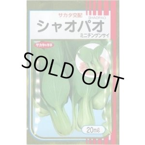 画像: 送料無料　[中国野菜]　シャオパオ(ミニチンゲンサイ)　20ml　（およそ4800粒）（株）サカタのタネ