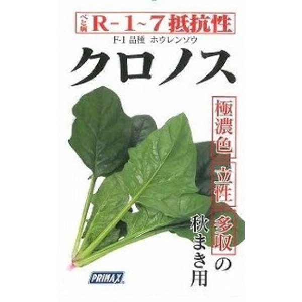 画像2: 送料無料　[ほうれんそう]　クロノス　約900粒　(株)サカタのタネ　実咲350（003012） (2)