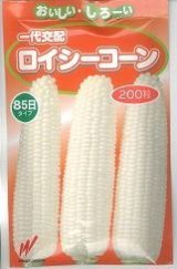画像: 送料無料　[とうもろこし]　ロイシーコーン　(株)　200粒　渡辺農事