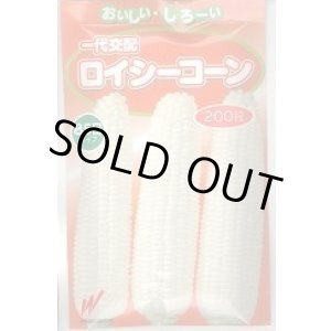 画像: 送料無料　[とうもろこし]　ロイシーコーン　(株)　200粒　渡辺農事（株）