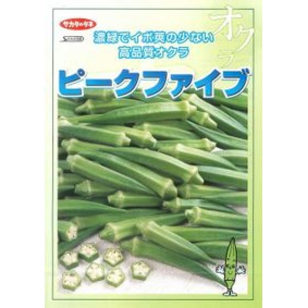 画像2: [オクラ]　ピークファイブ　約60粒　サカタ交配　実咲 (2)