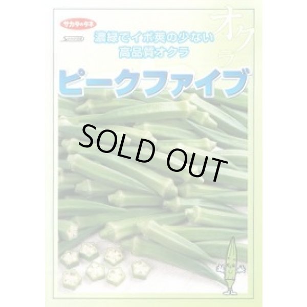 画像2: 送料無料　[オクラ]　ピークファイブ　20ml　(株)サカタのタネ (2)