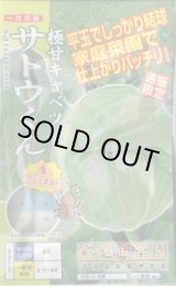 画像: [キャベツ] 極甘サトウくん 40粒 ナント種苗（株）