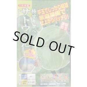 画像: [キャベツ] 極甘サトウくん 40粒 ナント種苗（株）