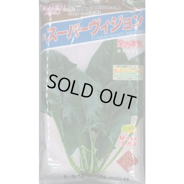 画像1: [ほうれんそう]　スーパーヴィジョン　3万粒（種子サイズ：Ｍ）　トキタ種苗(株) (1)