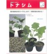 画像3: [台木/ナス用]　トナシム　1000粒　タキイ種苗（株） (3)