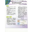 画像1: [いんげん]　サクサク王子　1L　(株)サカタのタネ (1)