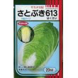 画像1: 白菜　さとぶき613　20ml　サカタ交配 (1)