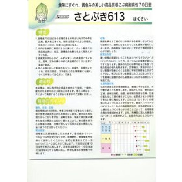 画像2: 白菜　耐病黄芯やわらか甘い70日(さとぶき613)　約130粒　(株)サカタのタネ　実咲450（002933） (2)