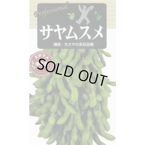 画像1: 送料無料　[枝豆]　サヤムスメ　70ml(およそ120粒)雪印種苗(株) (1)
