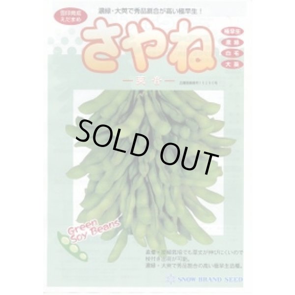 画像2: 送料無料　[枝豆]　莢音　70ml(およそ150粒)　雪印種苗(株) (2)