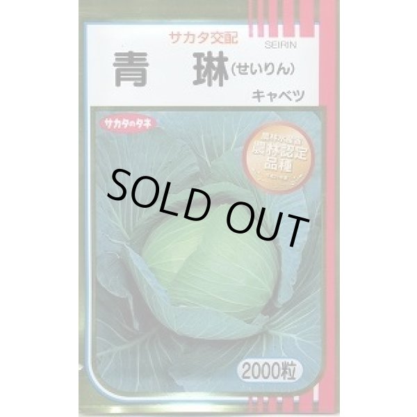 画像1: 送料無料　[キャベツ]　青琳　2000粒　（株）サカタのタネ (1)