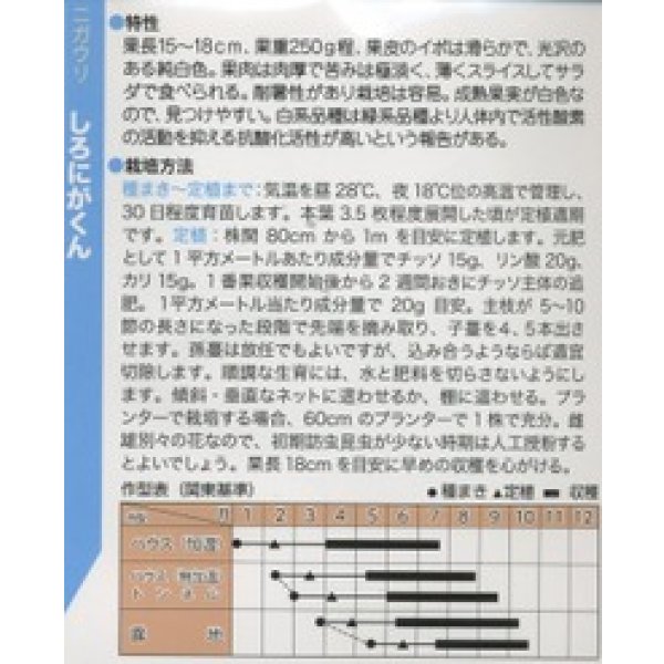 画像2: 送料無料　[ゴーヤ]　しろにがくん　100粒　トキタ種苗(株) (2)