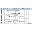 画像2: [レタス]　シスコ　0.9ml （およそ466粒）　タキイ種苗（株）　GF (2)