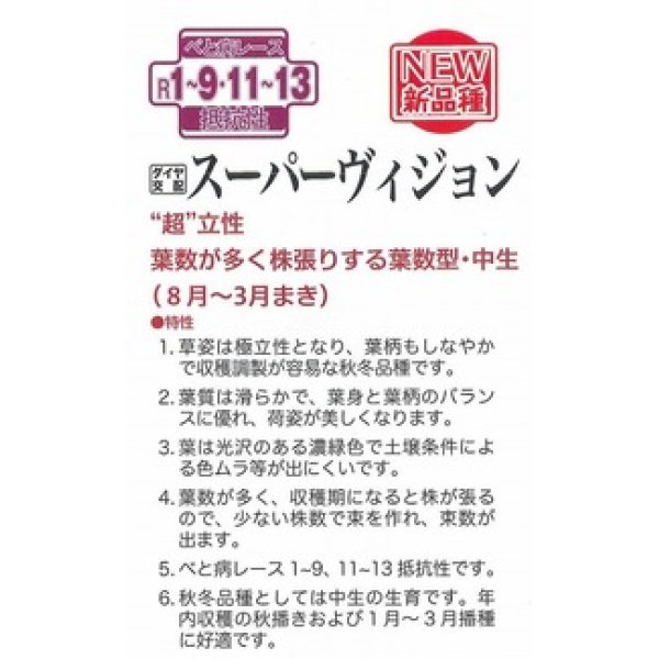 画像3: [ほうれんそう]　スーパーヴィジョン　Mサイズ3万粒　トキタ種苗（株） (3)