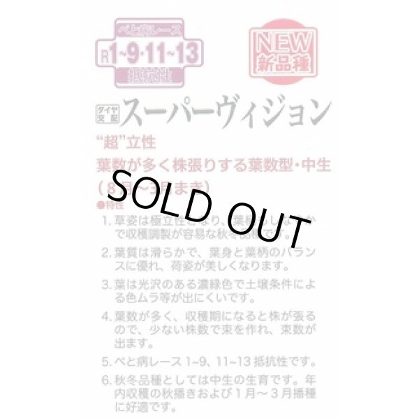 画像3: [ほうれんそう]　スーパーヴィジョン　3万粒（種子サイズ：Ｍ）　トキタ種苗(株) (3)