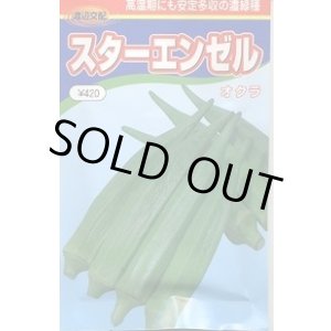 画像: 送料無料　[オクラ]　スターエンゼル　200粒　渡辺農事（株）