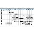 画像2: [かぶ]　スワン　6.5ｍｌ　タキイ種苗（株）　DF　 (2)