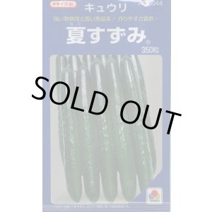 画像: 送料無料　[キュウリ]　夏すずみ　350粒　タキイ種苗(株)
