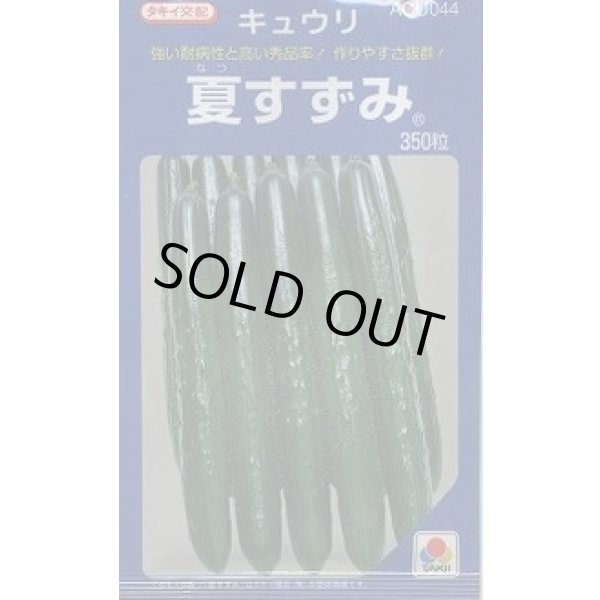 画像1: [キュウリ] 夏すずみ 350粒 タキイ種苗(株) (1)