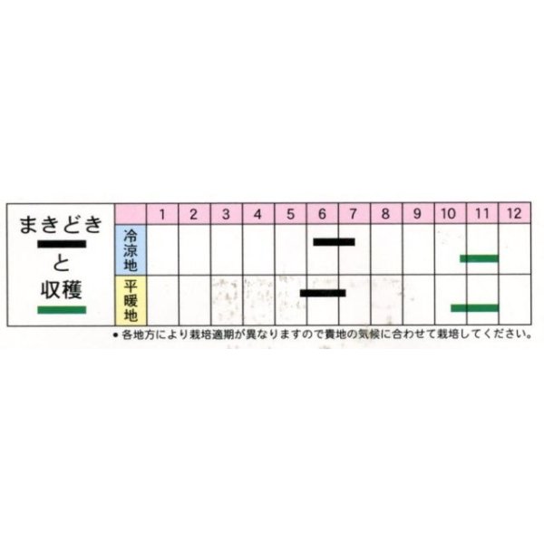 画像3: [枝豆]　丹波の黒大粒大豆　1L　（株）タカヤマシード (3)