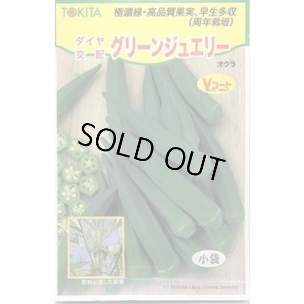 画像1: 送料無料　[オクラ]　グリーンジュエリー　40粒　トキタ種苗(株) (1)
