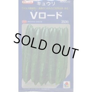 画像: 送料無料 [キュウリ] Vロード 350粒 タキイ種苗(株)