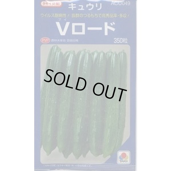 画像1: 送料無料 [キュウリ] Vロード 350粒 タキイ種苗(株) (1)