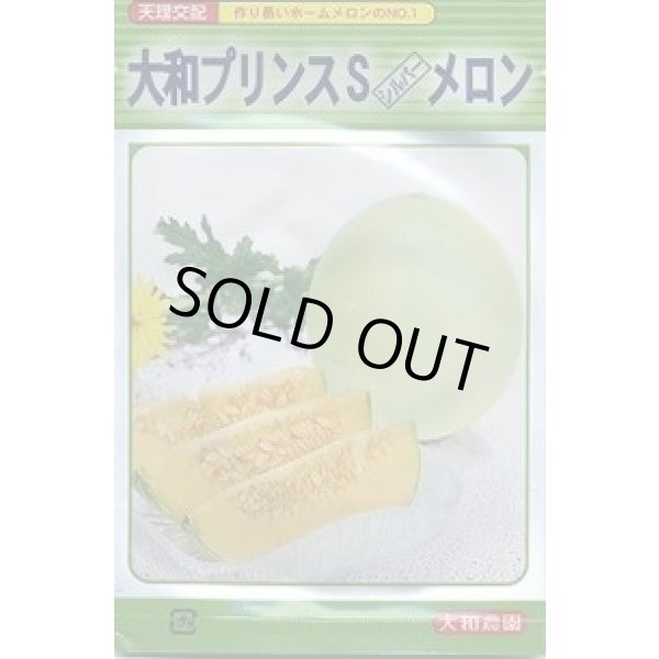 画像1: 送料無料　[メロン]　大和プリンスＳメロン　100粒　（株）大和農園 (1)