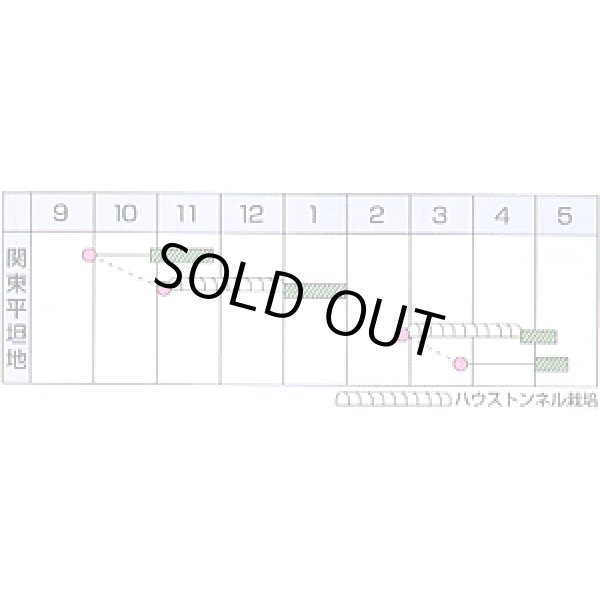 画像2: 送料無料　[小松菜]　よかった菜Ｇ　1L　カネコ種苗（株） (2)