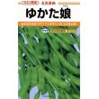 画像1: [枝豆]　ゆかた娘　100粒　カネコ種苗 (1)