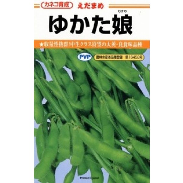 画像1: 送料無料　[枝豆]　ゆかた娘　100粒　カネコ種苗（株） (1)