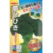 画像1: [ブロッコリー]　夢ひびき　0.7ml（約90粒）　ナント種苗（株） (1)