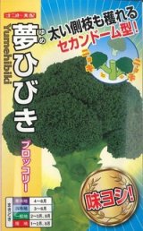 画像: 送料無料　[ブロッコリー]　夢ひびき　0.7ml(約90粒)　ナント種苗(株)