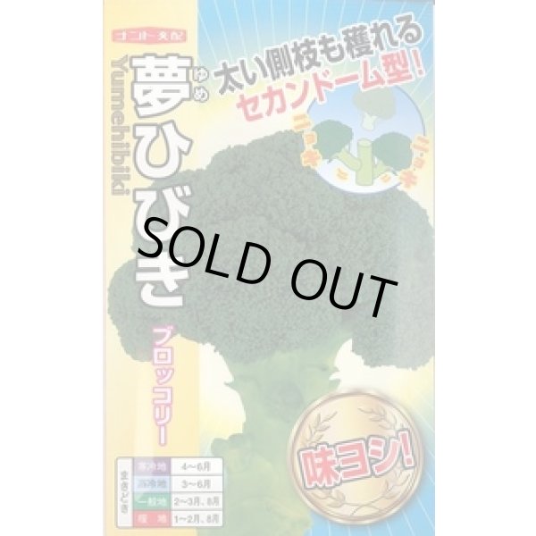 画像1: 送料無料　[ブロッコリー]　夢ひびき　0.7ml(約90粒)　ナント種苗(株) (1)