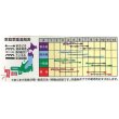 画像2: [ブロッコリー]　夢ひびき　0.7ml（約90粒）　ナント種苗（株） (2)
