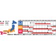 画像2: [葉物]　はまみなとべかな　 　サカタのタネ（株） (2)