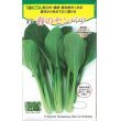 画像1: [小松菜]　春のセンバツ　10ml　トキタ種苗（株） (1)
